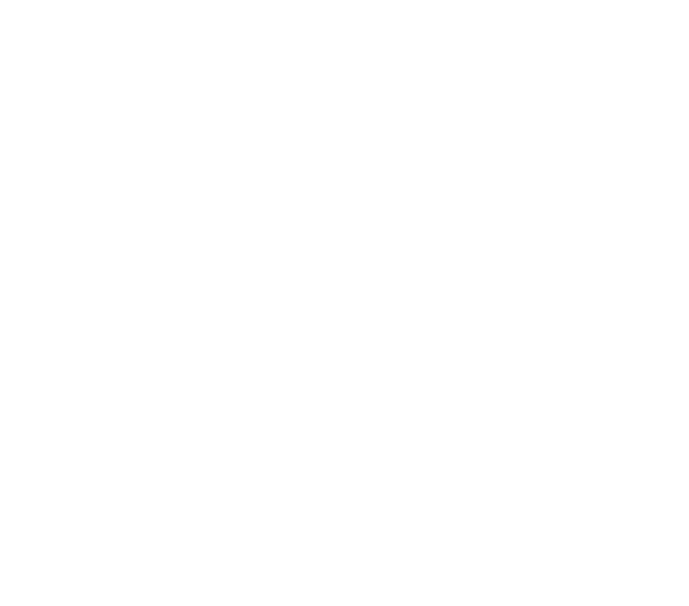 Logo-Ashoka-Blanc